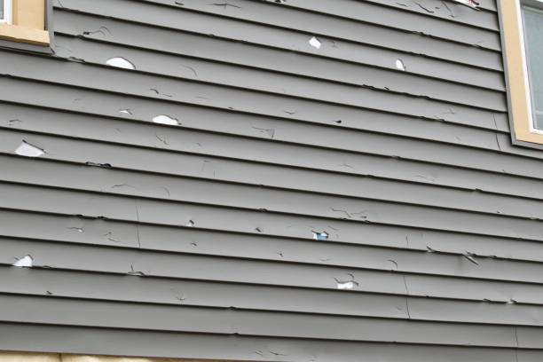 Best Custom Trim and Detailing for Siding  in Atmore, AL