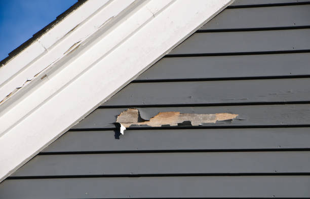 Best Aluminum Siding Installation  in Atmore, AL