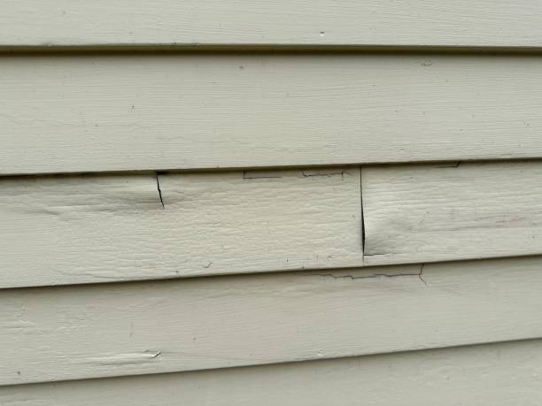 Best Stucco Siding  in Atmore, AL